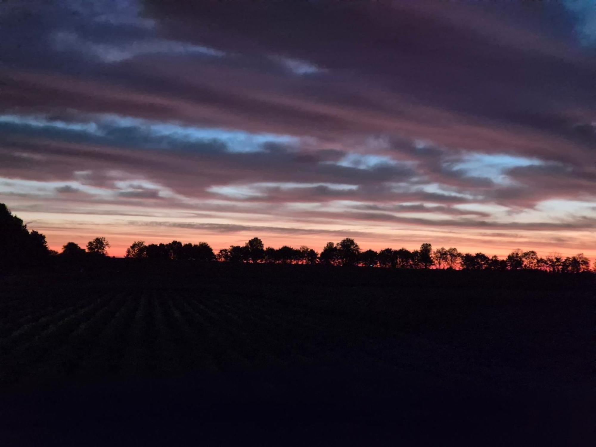 Slapen Aan De Voet Van De Molen Ovezande エクステリア 写真