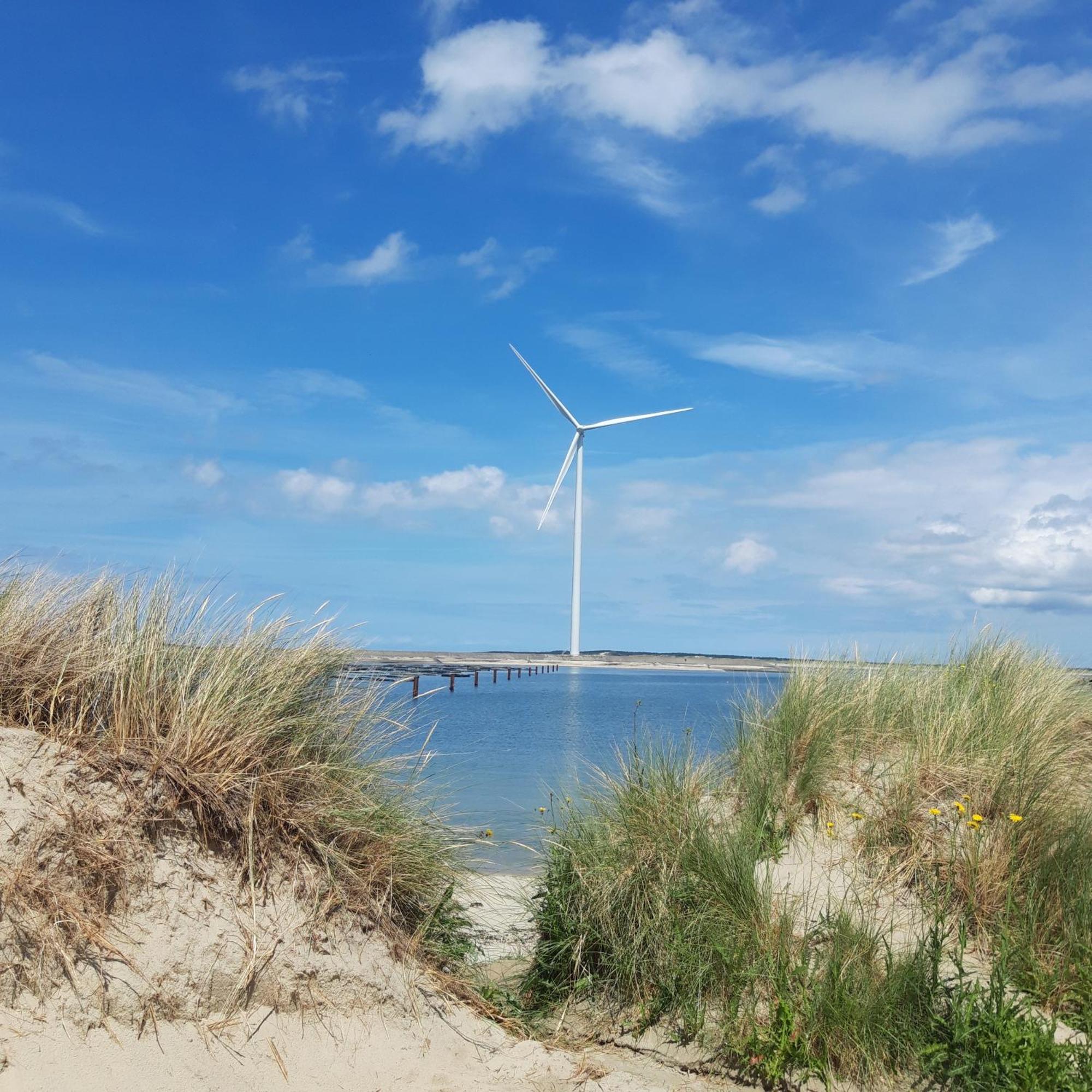 Slapen Aan De Voet Van De Molen Ovezande エクステリア 写真
